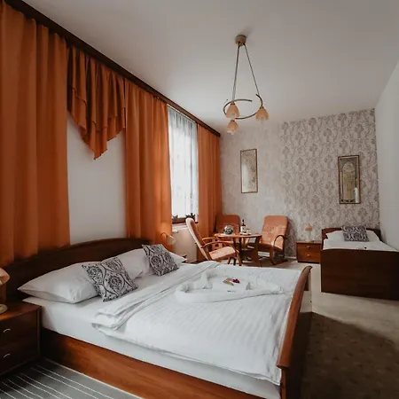 U Lipy Hotel