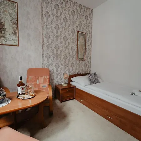 Hotel U Lipy 2*