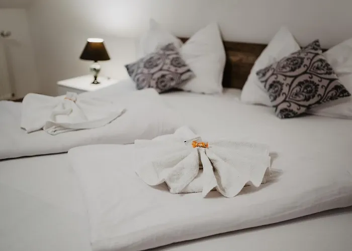Hotel U Lipy